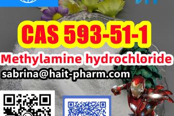 Methylamine hydrochloride cas 593511 rosechem2024